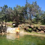 481698142_9792674307465990_4957004054383487666_n