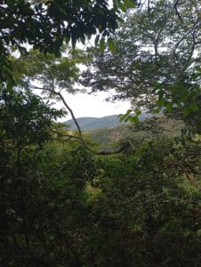 Imagem do WhatsApp de 2025-11-13 à(s) 17.22.22_c520f162