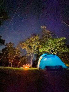 Imagem do WhatsApp de 2025-11-13 à(s) 17.22.29_776a818e